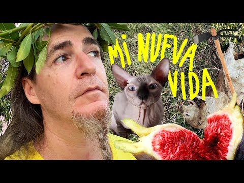 Thumbnail for MI NUEVA VIDA Thumbnail for MI NUEVA VIDA