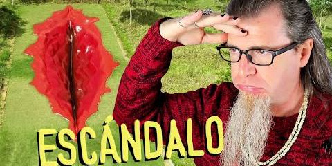 Thumbnail for Escándalo por una vluva gigante. El Arte (o Hamparte) de Juliana Notari