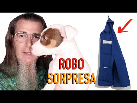 Thumbnail for ANCIANA ROBA OBRA DE ARTE + PERFORMANCE DE MI PERRA