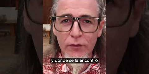 Thumbnail for Supuesto plagio: Ciruelo y la obra de Carrie en el MALBA