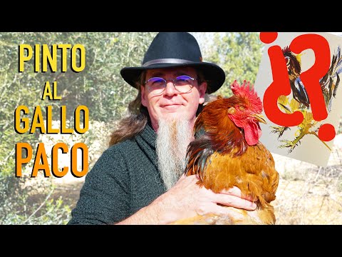 Thumbnail for DIBUJO a mi GALLO PACO (In Memoriam)