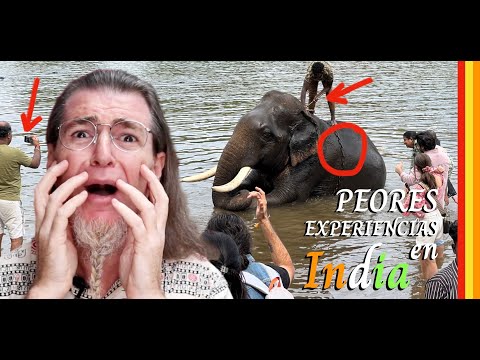 Thumbnail for MIS PEORES EXPERIENCIAS en INDIA (y las mejores)