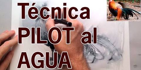 Thumbnail for Dibujo de un pollo japonés con la técnica del Pilot al agua. Arte y creatividad.