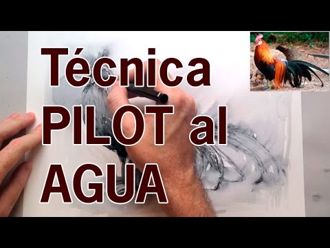 Thumbnail for Dibujo de un pollo japonés con la técnica del Pilot al agua. Arte y creatividad.