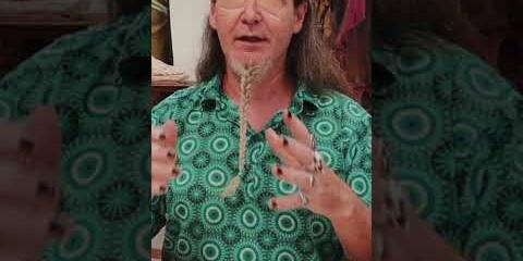 Thumbnail for Dibuja gatos en movimiento. Es muy fac... no... esper... mira. Mejor aprovecha nuestro #blackfriday