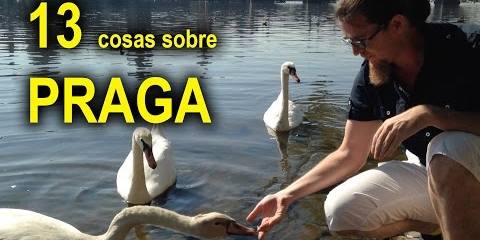 Thumbnail for MORDIDO POR UN CISNE. 13 COSAS SOBRE PRAGA