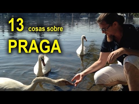 Thumbnail for MORDIDO POR UN CISNE. 13 COSAS SOBRE PRAGA
