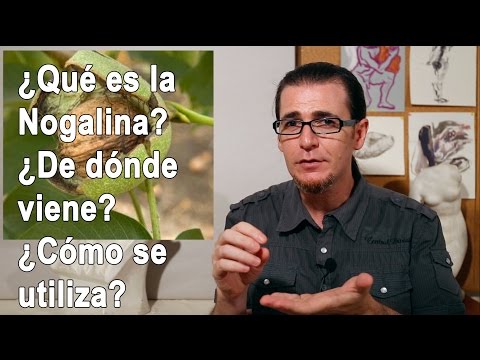 Thumbnail for ¿Qué es la Nogalina? ¿De dónde viene? ¿Cómo se utiliza? Arte y Creatividad Thumbnail for ¿Qué es la Nogalina? ¿De dónde viene? ¿Cómo se utiliza? Arte y Creatividad