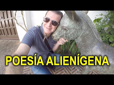 Thumbnail for VERDES ESCRITORES Y POESÍA ALIENÍGENA EN MOGUER