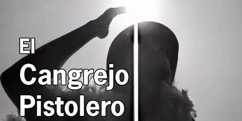 Thumbnail for Cangrejo Pistolero PAY AFTER SHOW 2013