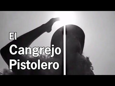 Thumbnail for Cangrejo Pistolero PAY AFTER SHOW 2013