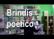 Thumbnail for BRINDIS POÉTICO. IV Encuentro de Verdes Escritores y Escritoras, Moguer (Huelva)